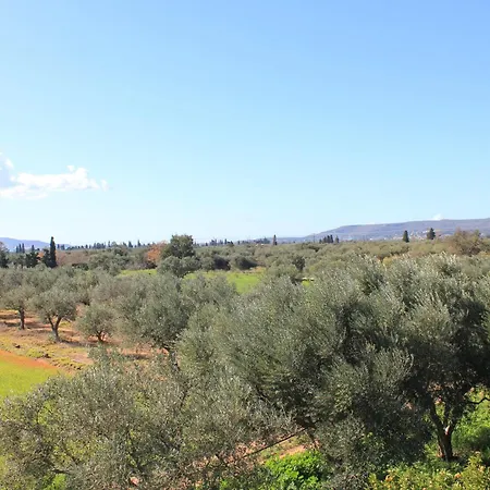 Olive Tree House I *