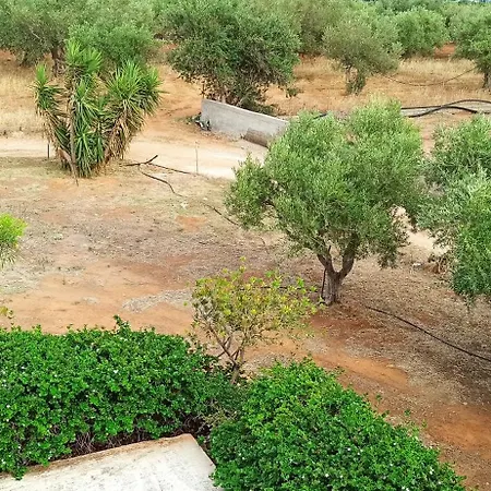 Olive Tree House I 別荘 *