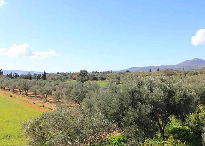 Olive Tree House I *