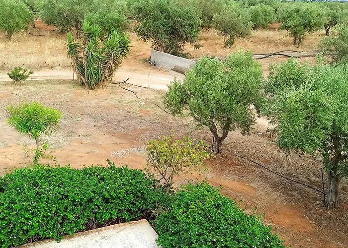 Olive Tree House I Prázdninový dům *