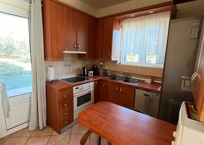 Prázdninový dům Olive Tree House I Dhermatianika